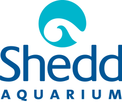 Shedd Aquarium